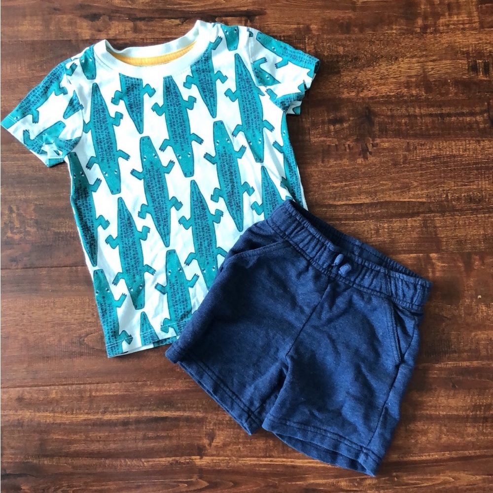 Cat & Jack 2T Shorts and T shirt Outfit